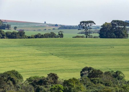 Seguro Rural pode ganhar modelo com quatro níveis de proteção