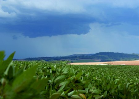 Super El Niño reforça urgência de adaptação climática no agro