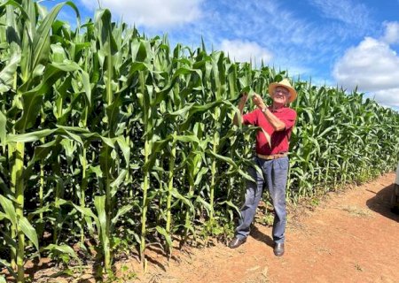 Os 36 bilhões de toneladas que podem definir o futuro da agricultura brasileira
