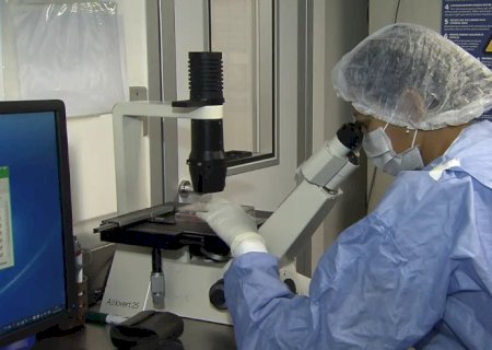 Saiba como cientistas 'curaram' pacientes infectados com HIV