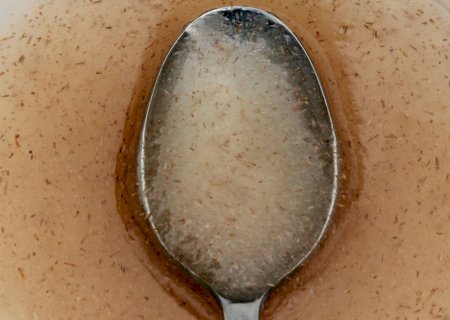 Psyllium funciona para digestão e colesterol, mas não para perda de peso