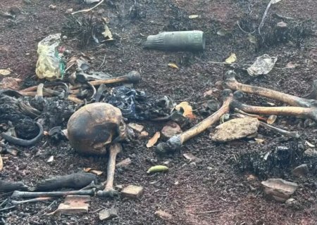 Ossada humana é encontrada em mata; Polícia apura caso em MS