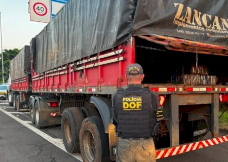 DOF apreende mais de 3,5 toneladas de drogas em carreta na divisa entre MS e São Paulo