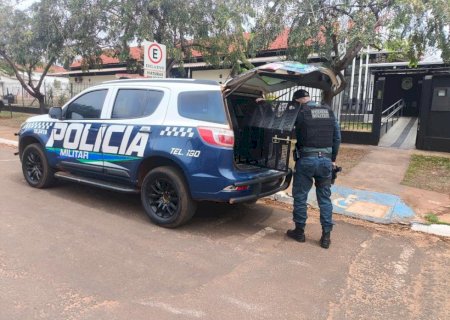 Polícia Militar conduziu dois homens por descumprimento de medida protetiva e cumpriu mandado de prisão no Vale do Ivinhema