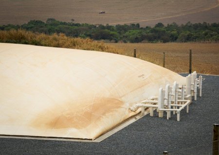 Bioinsumos podem adicionar R$ 15,8 bilhões ao PIB e evitar 9,2 milhões de hectares de desmatamento, aponta estudo