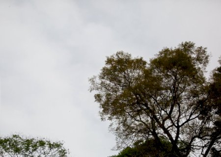 Após chuva, quinta-feira será de sol e calor intenso em Batayporã e Nova Andradina