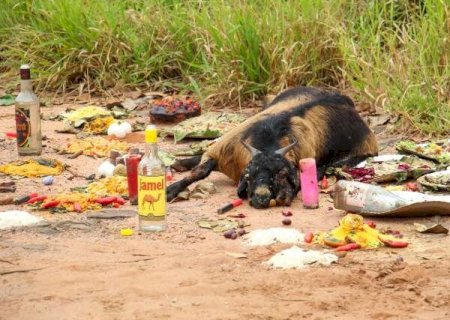 Oferenda com bode morto causa mau cheiro e incomoda moradores em CG