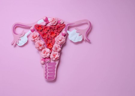 Medicina conhece menos o corpo feminino do que deveria, diz ginecologista