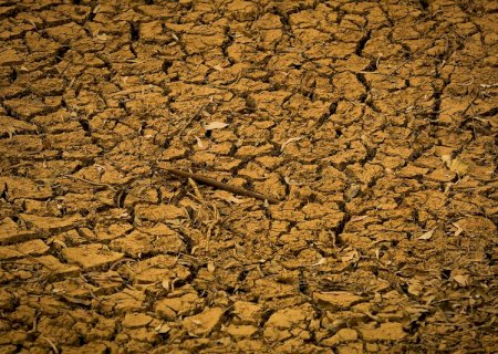 Endividamento rural: volume liberado pelo governo corresponde apenas a 13% da carteira problemática