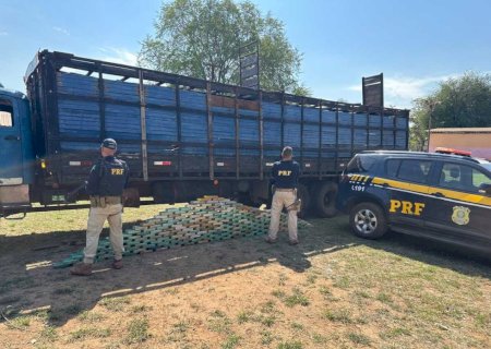 PRF apreende quase 200kg de cocaína em caminhão de boi na fronteira com a Bolívia