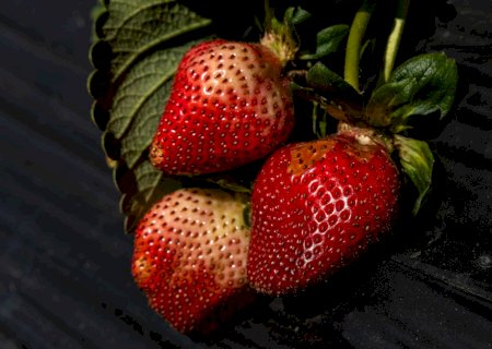Como saber se frutas e legumes ainda são seguros para comer, e quando devem ser jogados no lixo