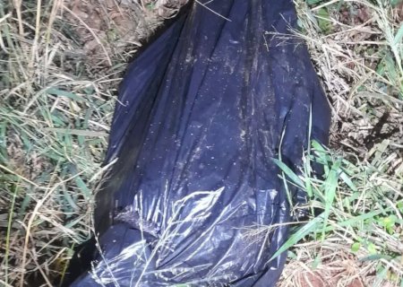 Corpo enrolado em lona preta é encontrado em área de mata