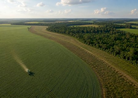 Mercado regulado de carbono abre possibilidade de nova fonte de renda para produtores rurais