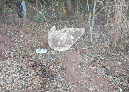 Corpo de homem é encontrado e tem cabeça decapitada em área rural no MS