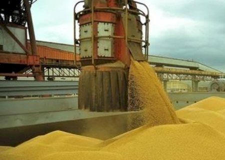 Anec mantém previsão de exportação recorde de soja do Brasil em 2026