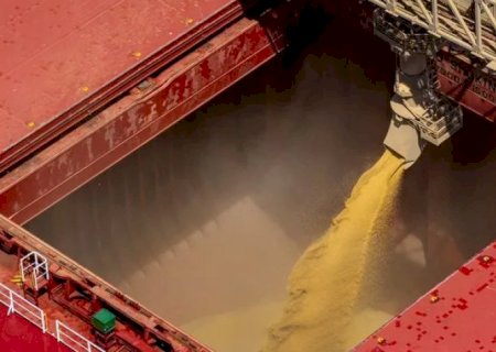Importações de soja dos EUA pela China mais que dobram em julho