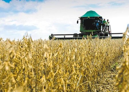Vazio sanitário da soja segue até o dia 15 de setembro em MS