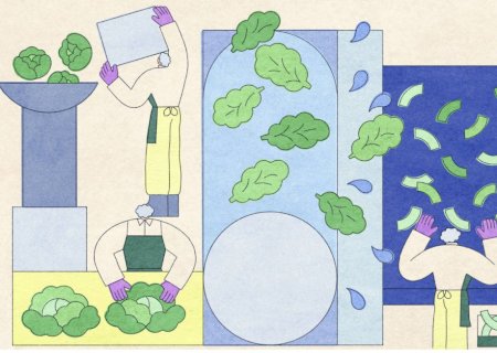 Salada embalada é segura? Entenda como alimento pode ser contaminado