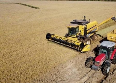 Desembolso do crédito rural despenca no primeiro mês da safra