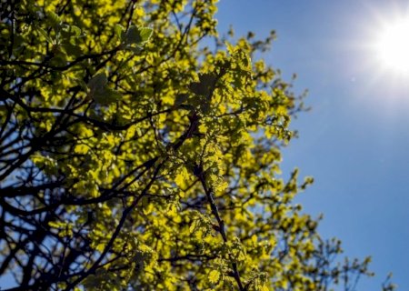 Frio deverá dar trégua e calor avança no Vale do Ivinhema sexta-feira