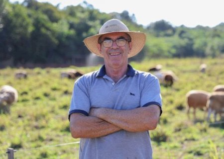 Apicultor de Terenos transforma terra parada em criação de ovelhas