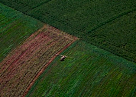Produção de fertilizantes de matriz orgânica amplia alternativas para o agro brasileiro