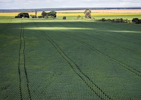Senado aprova plano para fabricação de fertilizantes no Brasil