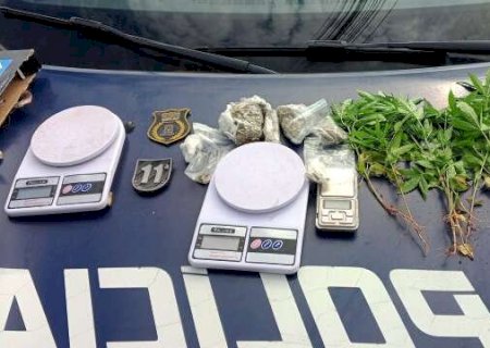 Suspeito de plantar maconha em terreno perto do trabalho é preso