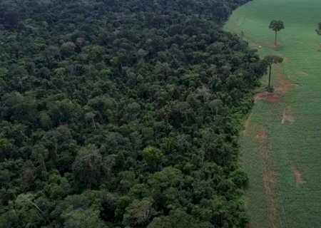 Maioria do STF valida Moratória da Soja e barra processos de indenização