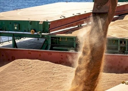 Exportações do agronegócio tiveram receita recorde em julho