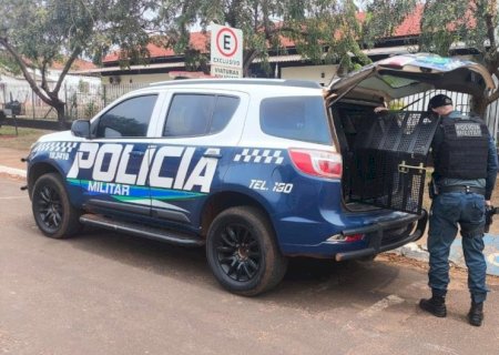 Polícia Militar cumpre mandado de prisão em Ivinh