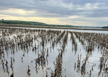 Entidades do agro cobram celeridade na operacionalização da MP das dívidas rurais