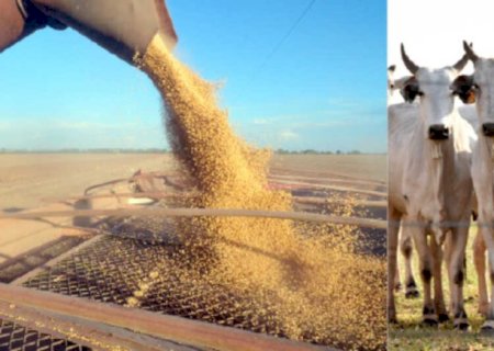 Produção do agro de MS cresce e é avaliada em R$ 83,4 bilhões