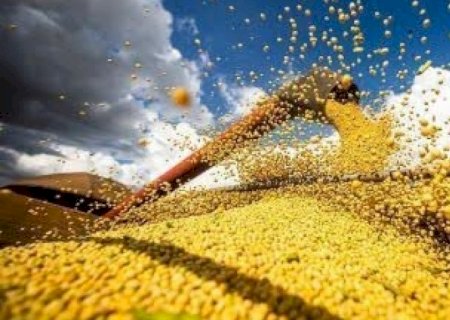 PIB da cadeia da soja e biodiesel deve crescer 6,87% em 2026