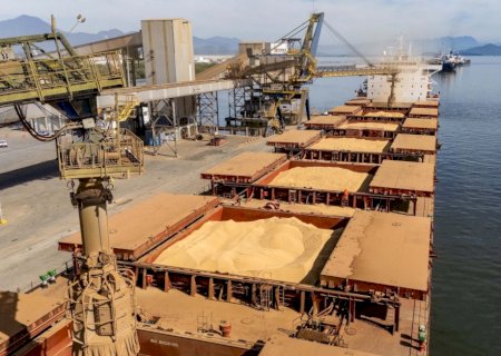 Soja chega a R$ 159,76 em Paranaguá e acumula alta de 10,25% no mês
