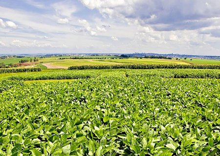 El Niño acende alerta para a produção de grãos no Cerrado