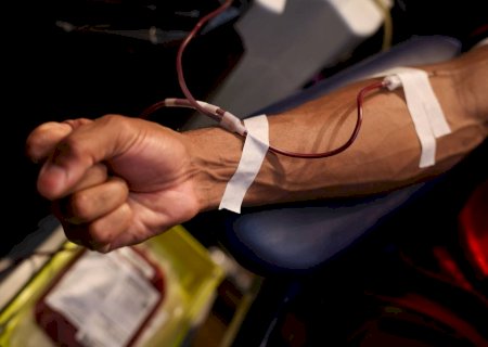 Testemunhas de Jeová flexibilizam doação e recebimento de sangue; transfusão total continua proibida