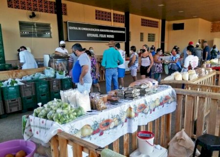 A força da agricultura familiar em Batayporã: tradição, produção e desenvolvimento no campo e na cidade