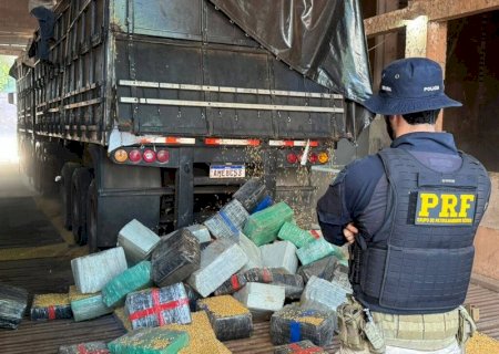 Polícia encontra 5,2 toneladas de maconha escondidas em carga de milho