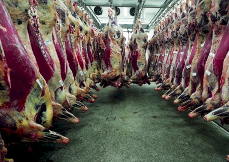 União Europeia suspende importações de carne bovina do Brasil a partir desta quinta-feira