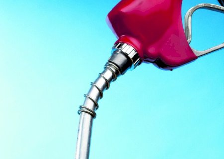 Etanol de milho pode exigir até R$ 14,3 bilhões em novas florestas energéticas