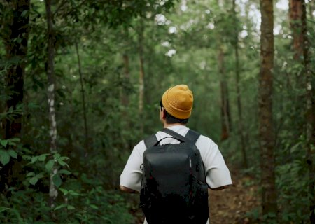 Por que a natureza te faz sentir mais calmo?