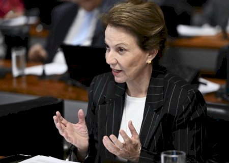 Justiça determina exclusão de vídeo que pede para eleitores não votarem em candidatos apoiados por Tereza Cristina