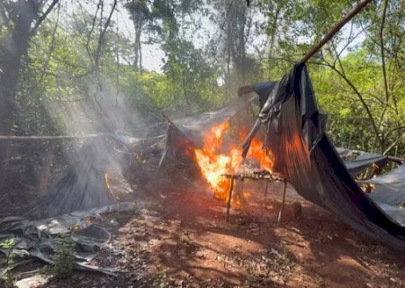 Três acampamentos são queimados com 1,8 tonelada de maconha