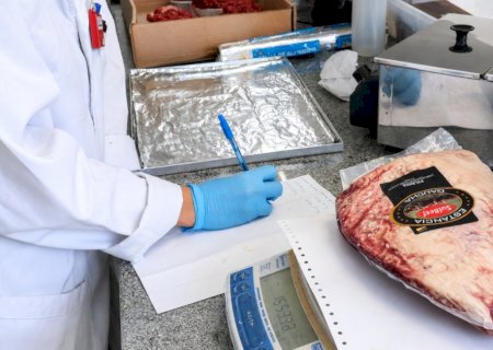 Do pasto ao laboratório: pesquisa busca identificar a origem da carne, soja e madeira
