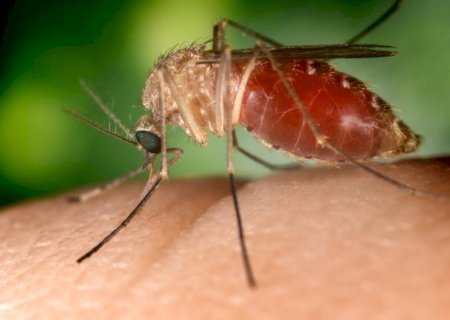 Antecipar-se às ameaças biológicas é uma questão de segurança sanitária | Claudio Lottenberg