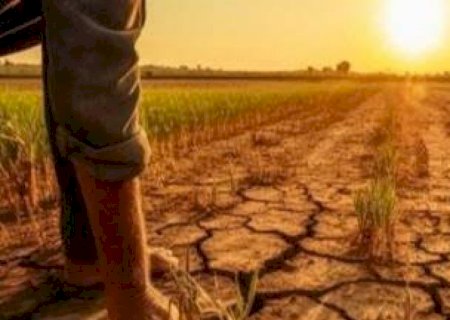 Nova lei do seguro rural amplia proteção para produtores no campo