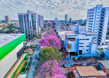 MS completou 49 anos, e se aproxima de 3 milhões de habitantes