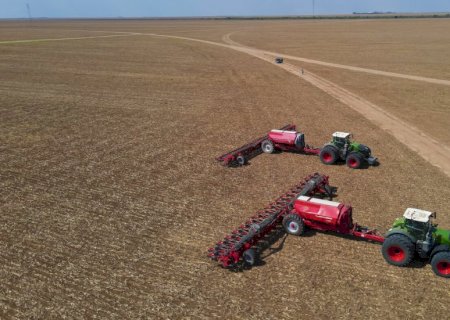 Plantio da soja chega a 30,1% da área prevista no Brasil