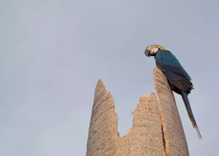 Sob alerta de tempestades, MS terá feriado chuvoso nesta segunda-feira